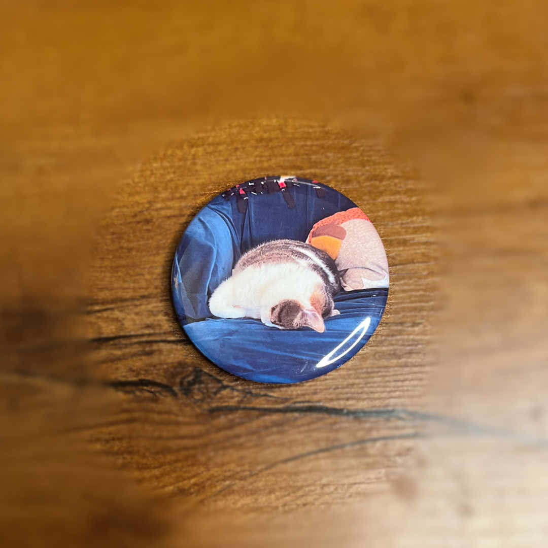 Magnetic Bottle Openers - Set of 6 - 2.25" Round Photo