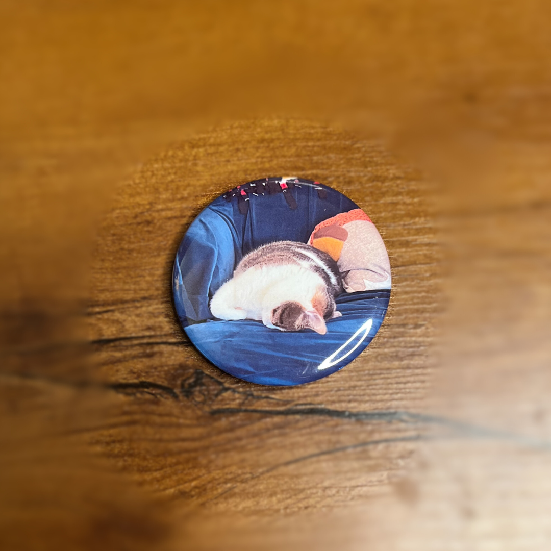 Magnetic Bottle Openers  - Set of 6 - 2.25" Round Photo